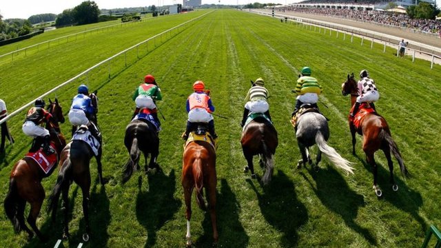 Find out about online horse racing betting display